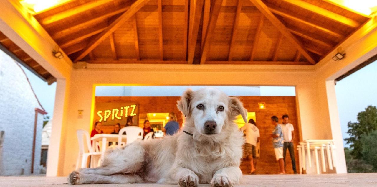 Masseria Dirupo Ночи Екстериор снимка